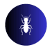 Termite