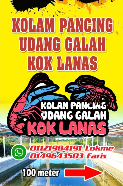 2x5 KOLAM PANCING UDANG GALAH