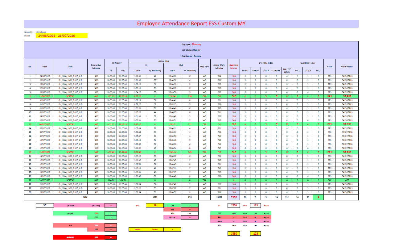 Excel Data Entry & Attendance Tracker