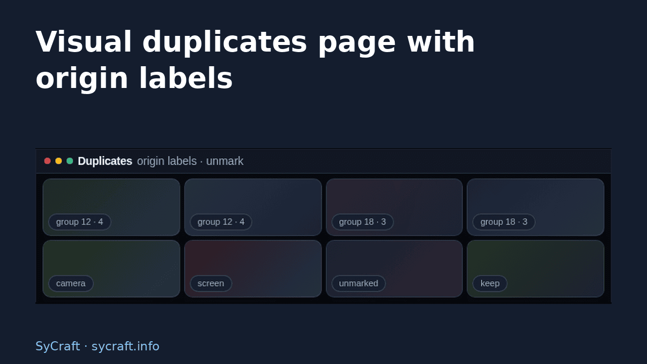 Visual duplicates page with origin labels
