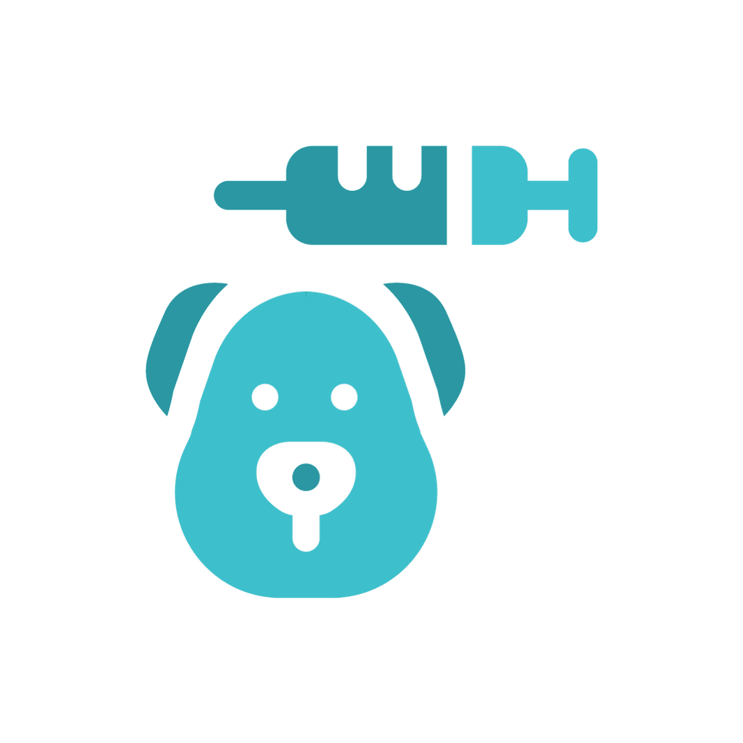 Animal Physical Therapy