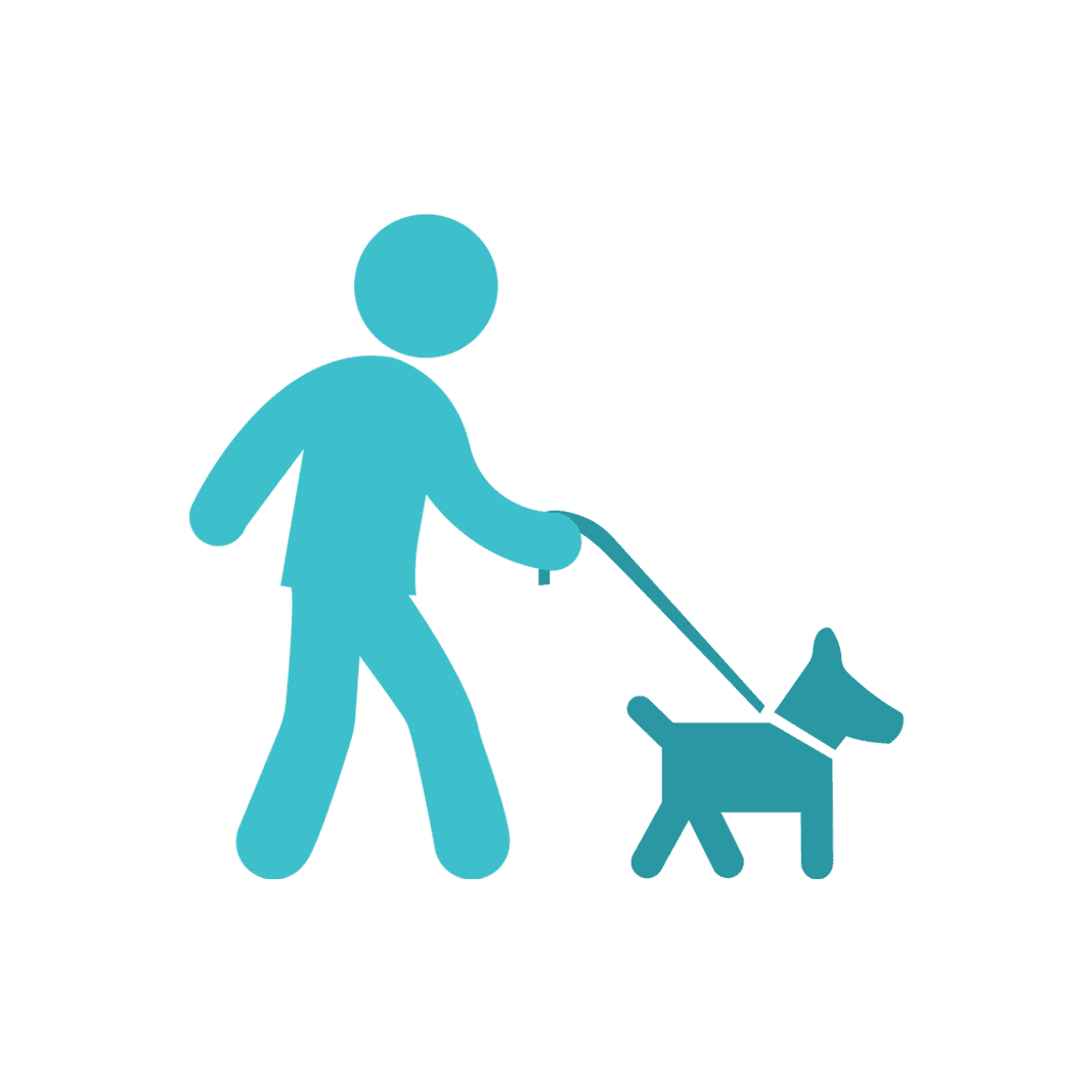Dog Walking