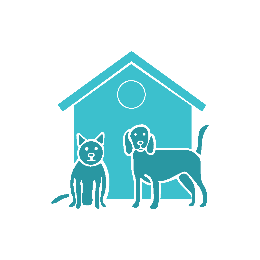 Pet Boarding