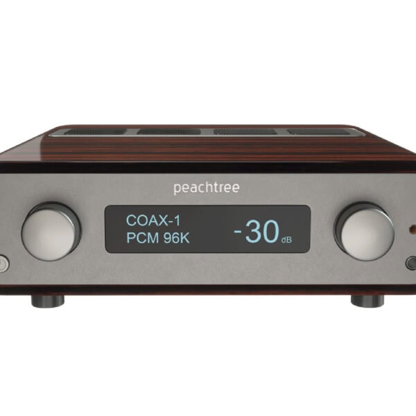The Peachtree Carina X integrated amp is an audiophile favorite but also sold in more mainstream distribution too. The best of both worlds.