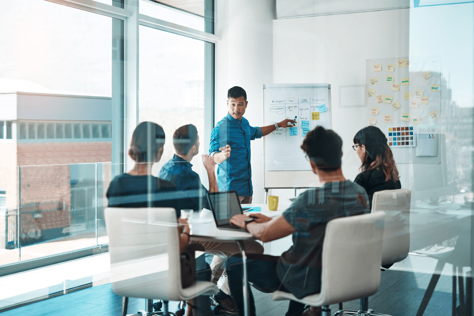 Company Formations