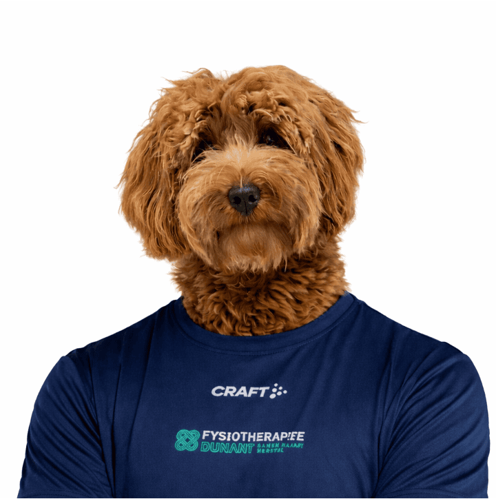 Bodhi – Praktijkhond van Fysiotherapie Dunant