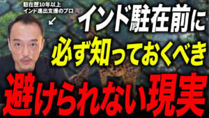 【インド駐在員の生存戦略】行政手続きから交通・病気のリスク管理まで徹底解説