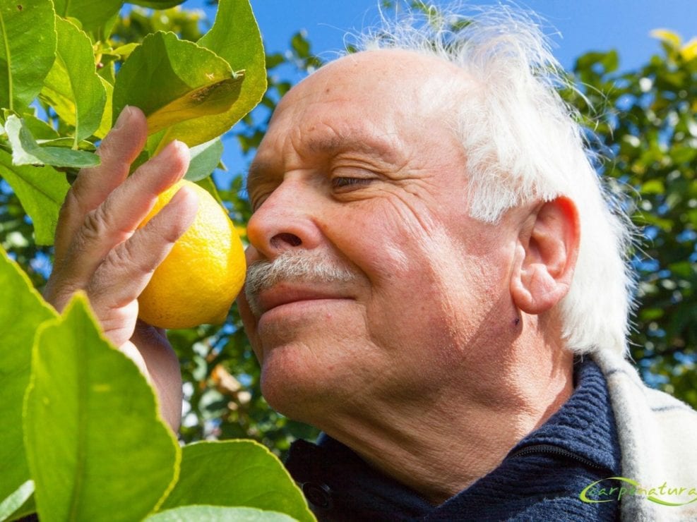 Fotografia Limoni di Rocca Imperiale Calabria di Gabriele Tolisano