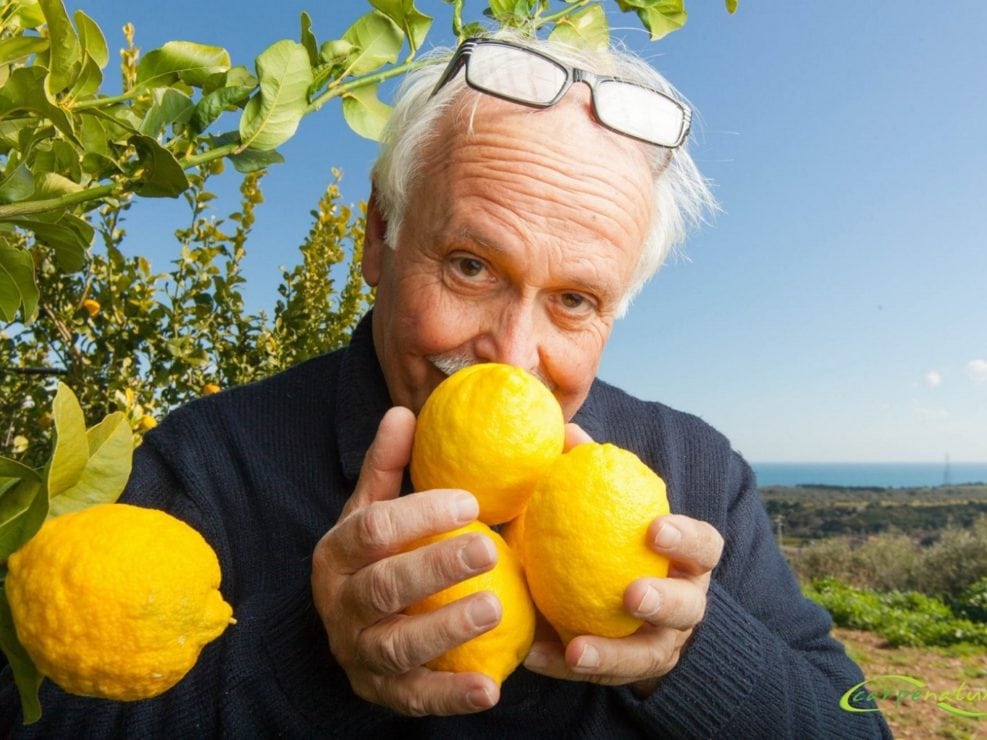 Fotografia Limoni di Rocca Imperiale Calabria di Gabriele Tolisano