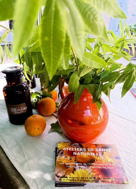 Atelier de naturopathie et herboristerie à Mouans-Sartoux (06)