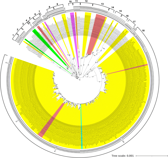 Emergence of a mutation in the nucleocapsid gene of SARS-CoV-2 interferes with PCR detection in Canada