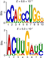 RBFOX2 Modulates a Metastatic Signature of Alternative Splicing in Pancreatic Cancer