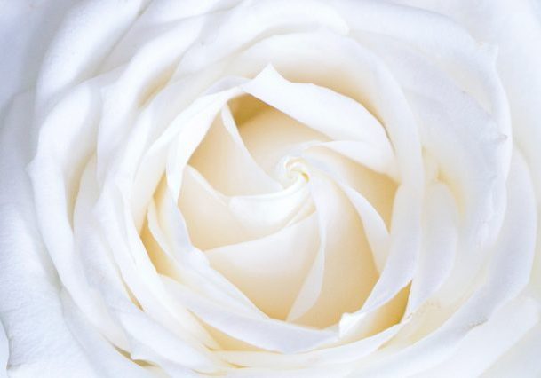 Echte Liefde Anna Jasmijn Echte Liefde Anna Jasmijn haar gedicht