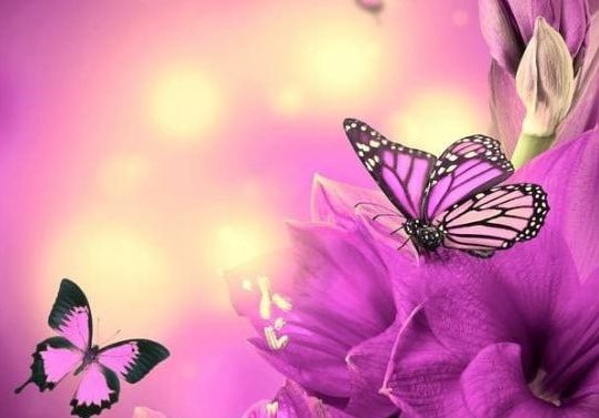 Ervaringen met Spiritueel Healen Foto bij Ervaringen met Spiritueel Healen, Gerankmediums