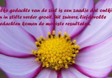 Wat is Spiritualiteit Wat is Spiritualiteit - Liefdevolle gedachten