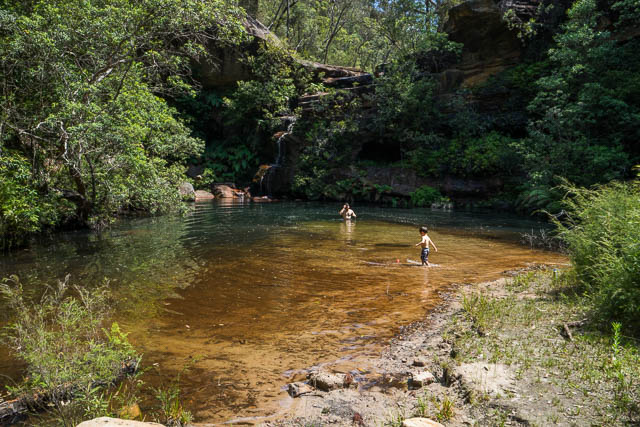 crayfish pool