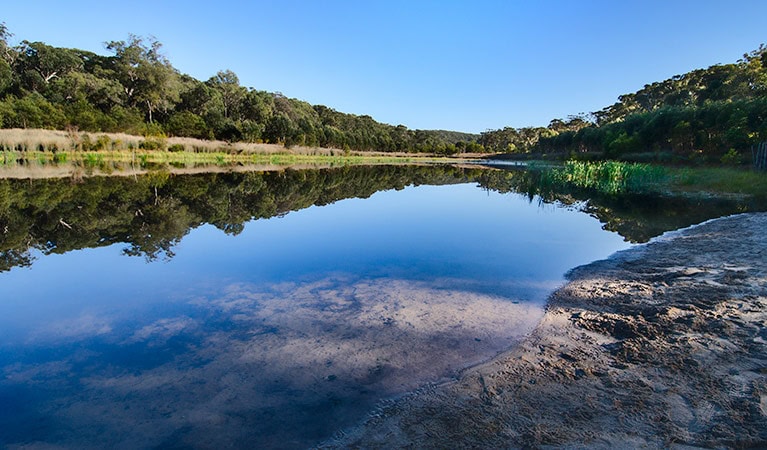 Thirlmere Lakes National Park