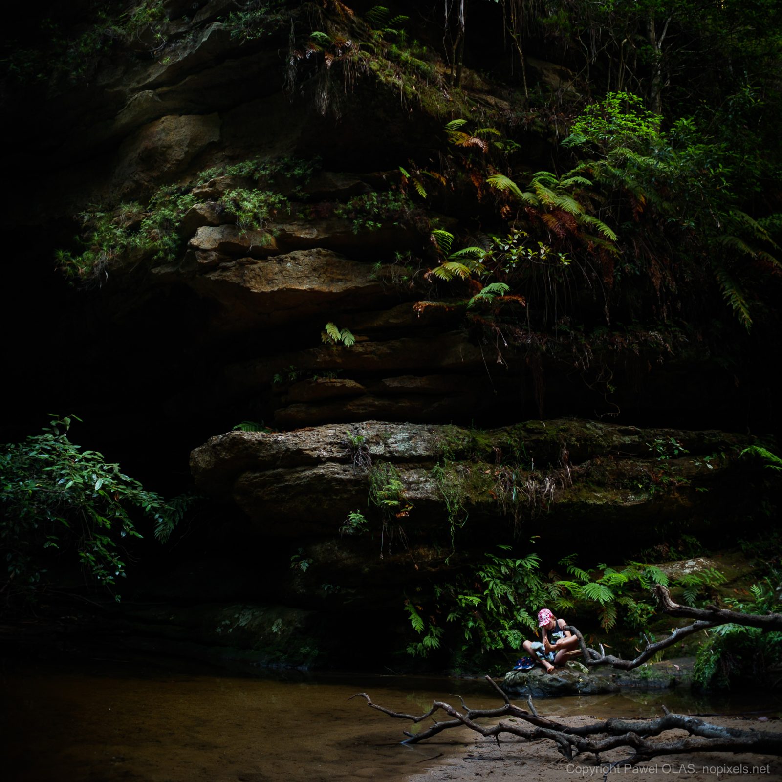 pool of siloam