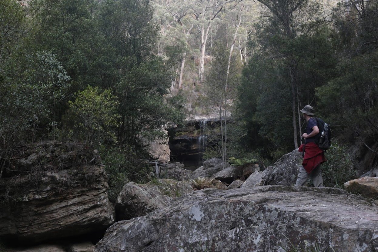 box vale track (mittagong)