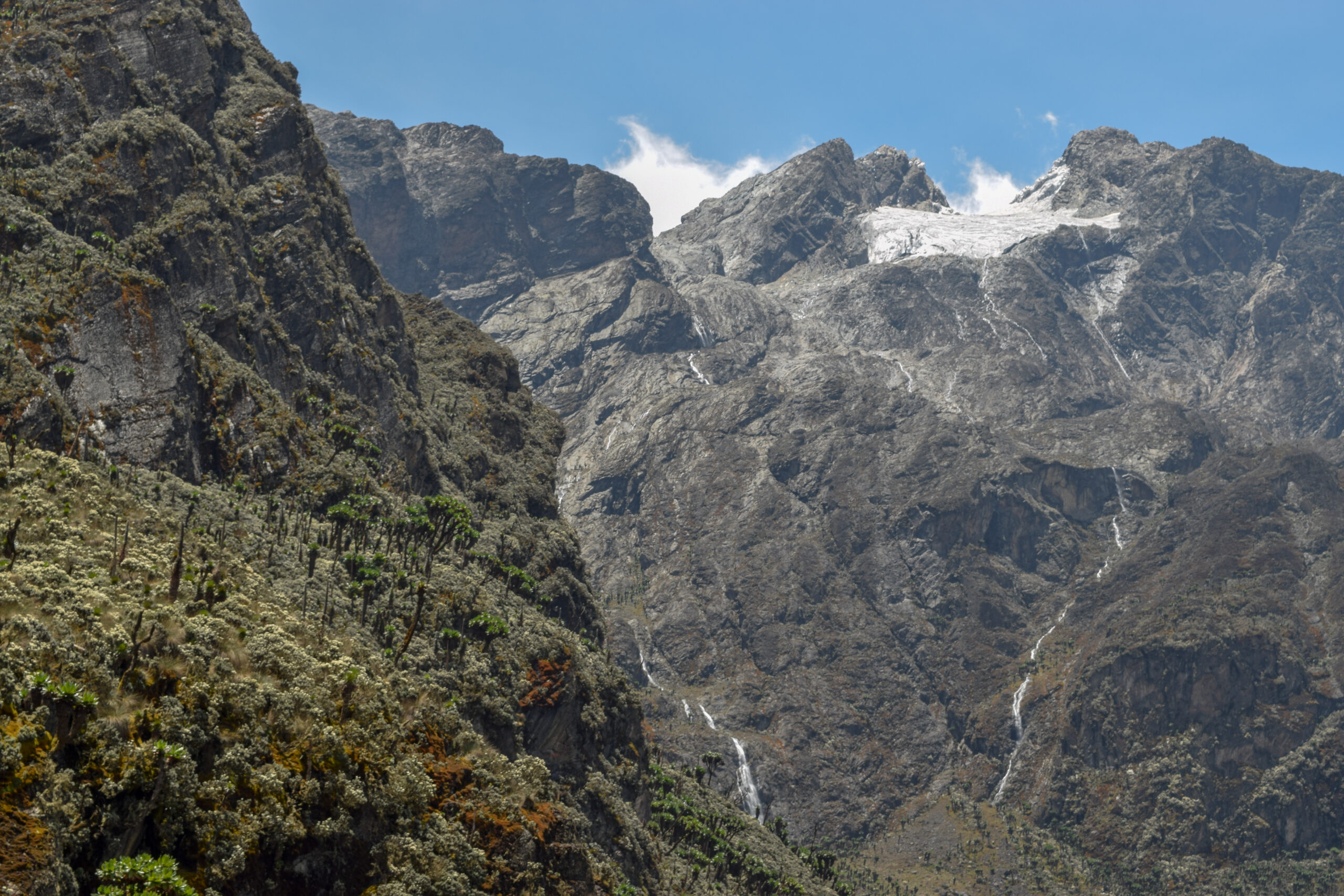 Actual Margherita Glacier and Mount Stanley in the Rwenzori Mountains