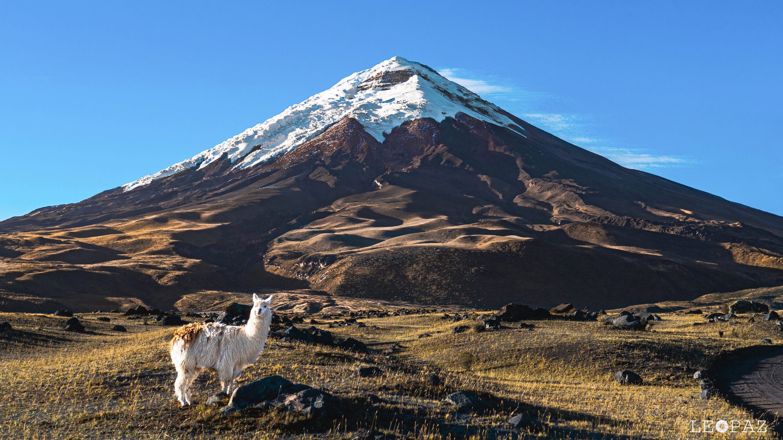 Cotopaxi volcano in Ecuador beneath a clear Andean sky