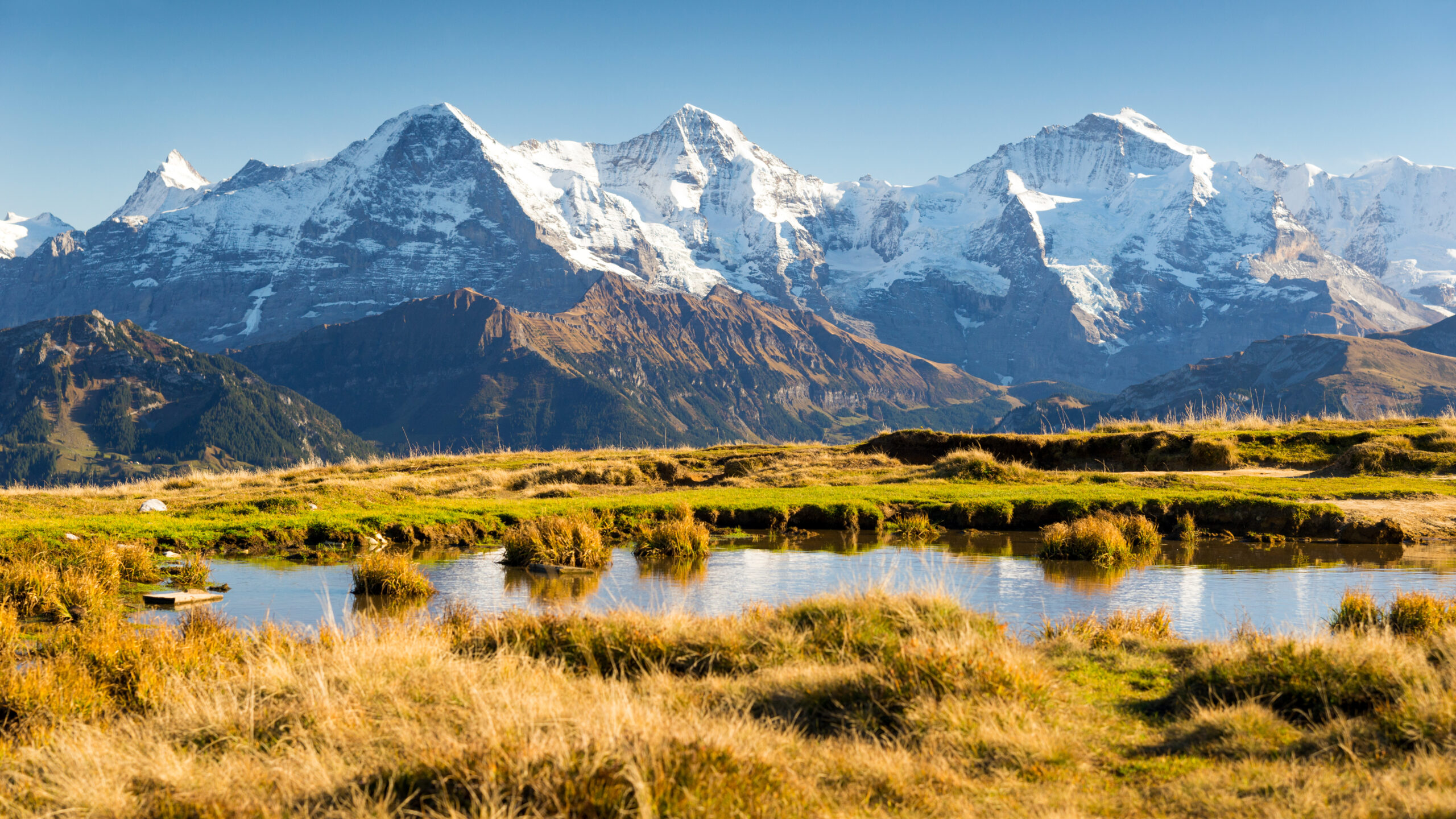 The Eiger and its North Face rising above Grindelwald in the Bernese Alps