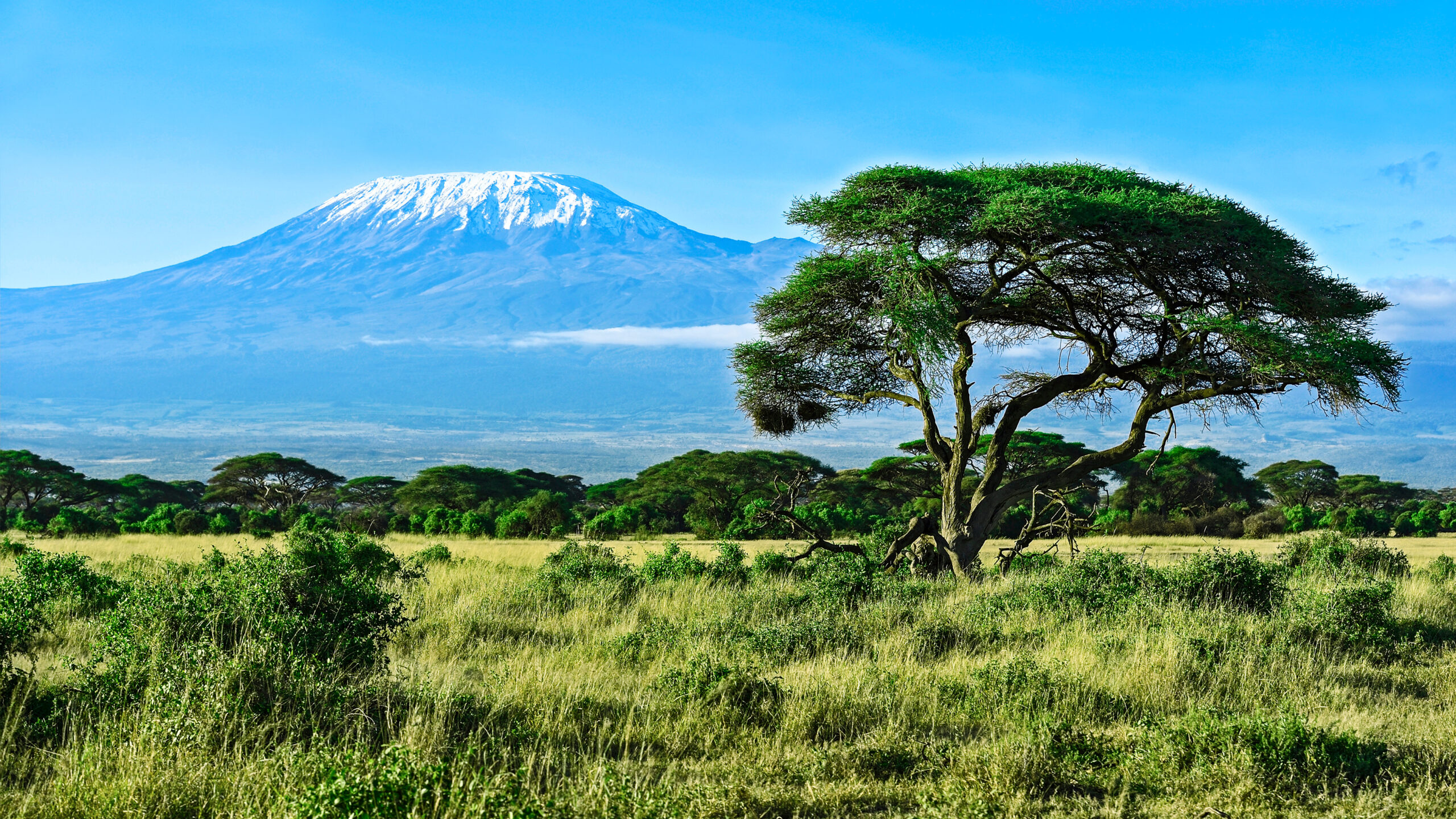 Mount Kilimanjaro rising over the plains of Tanzania
