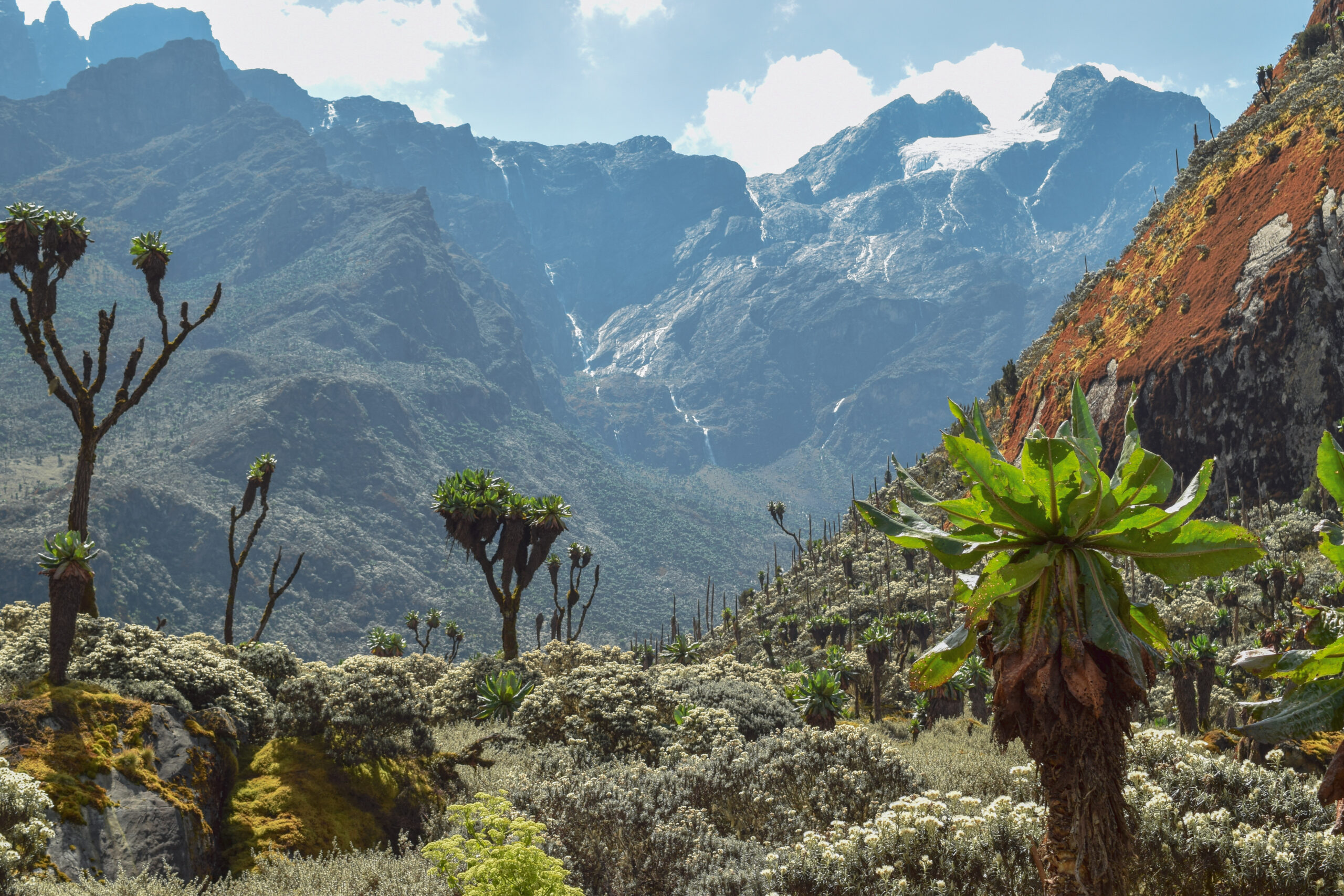 Mount Stanley above the Bujuku Valley in the Rwenzori Mountains, Uganda
