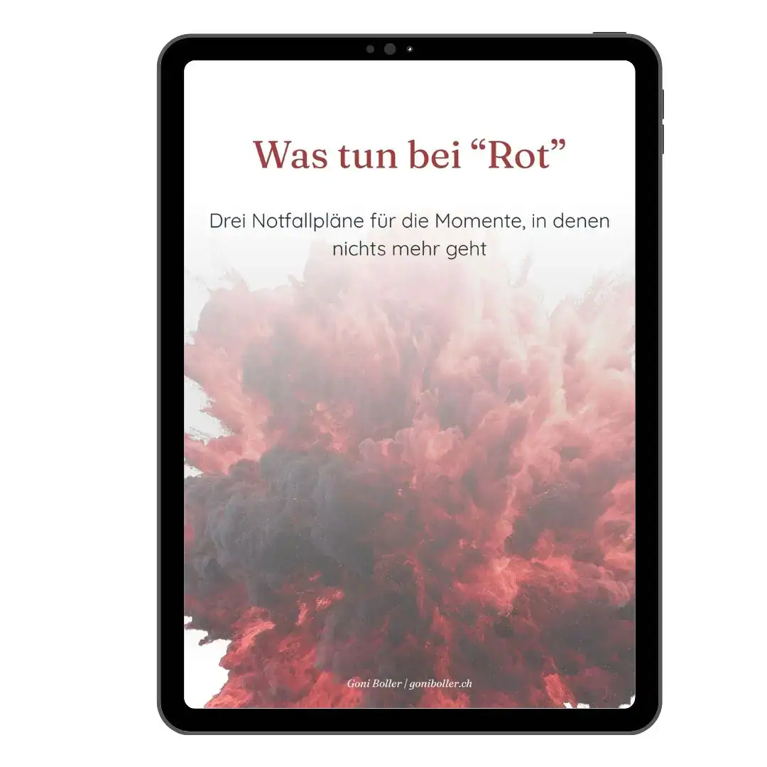 Workbook «Was tun bei Rot» mit drei Notfallplänen von Goni Boller