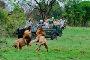 Visit Africa