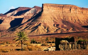 Visit Africa