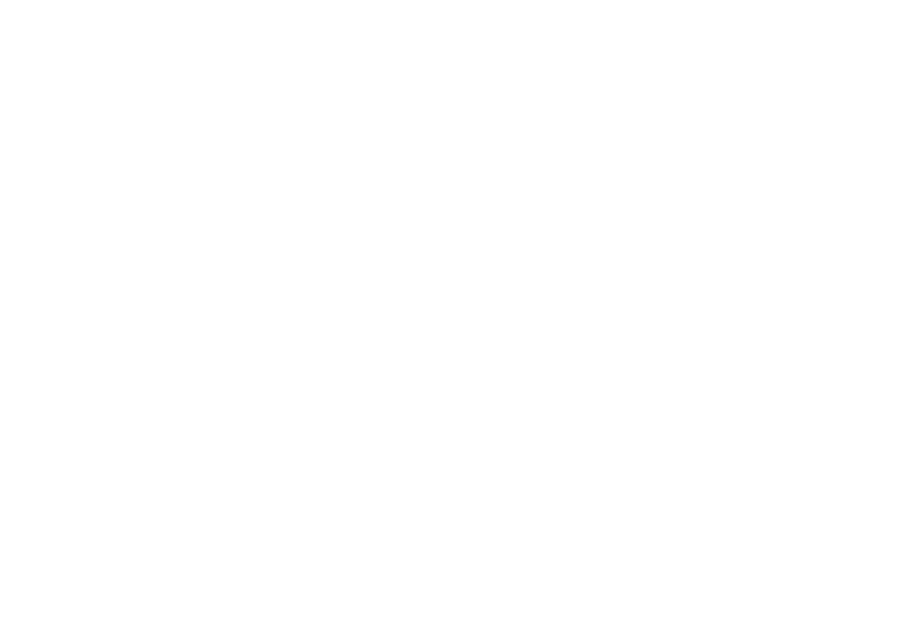 Hệ thống đại lý F1