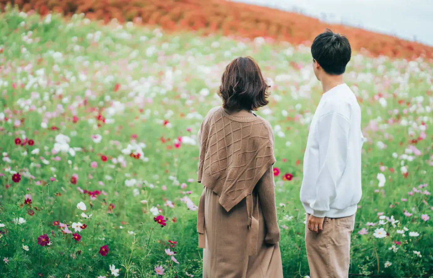 ご成婚事例ファーストビュー