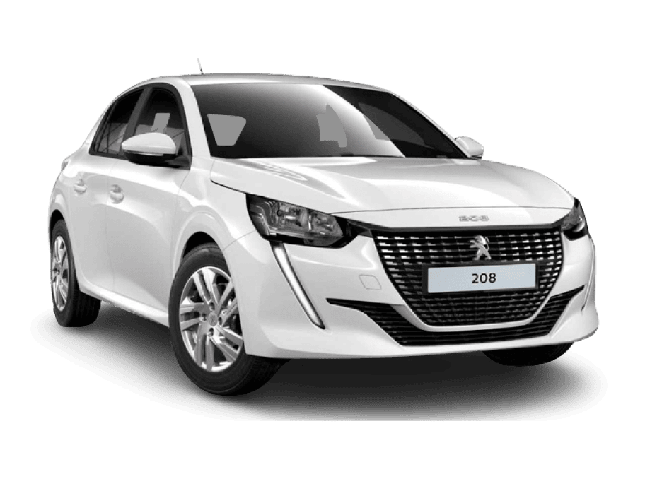 Grupo Marthe | Detalle