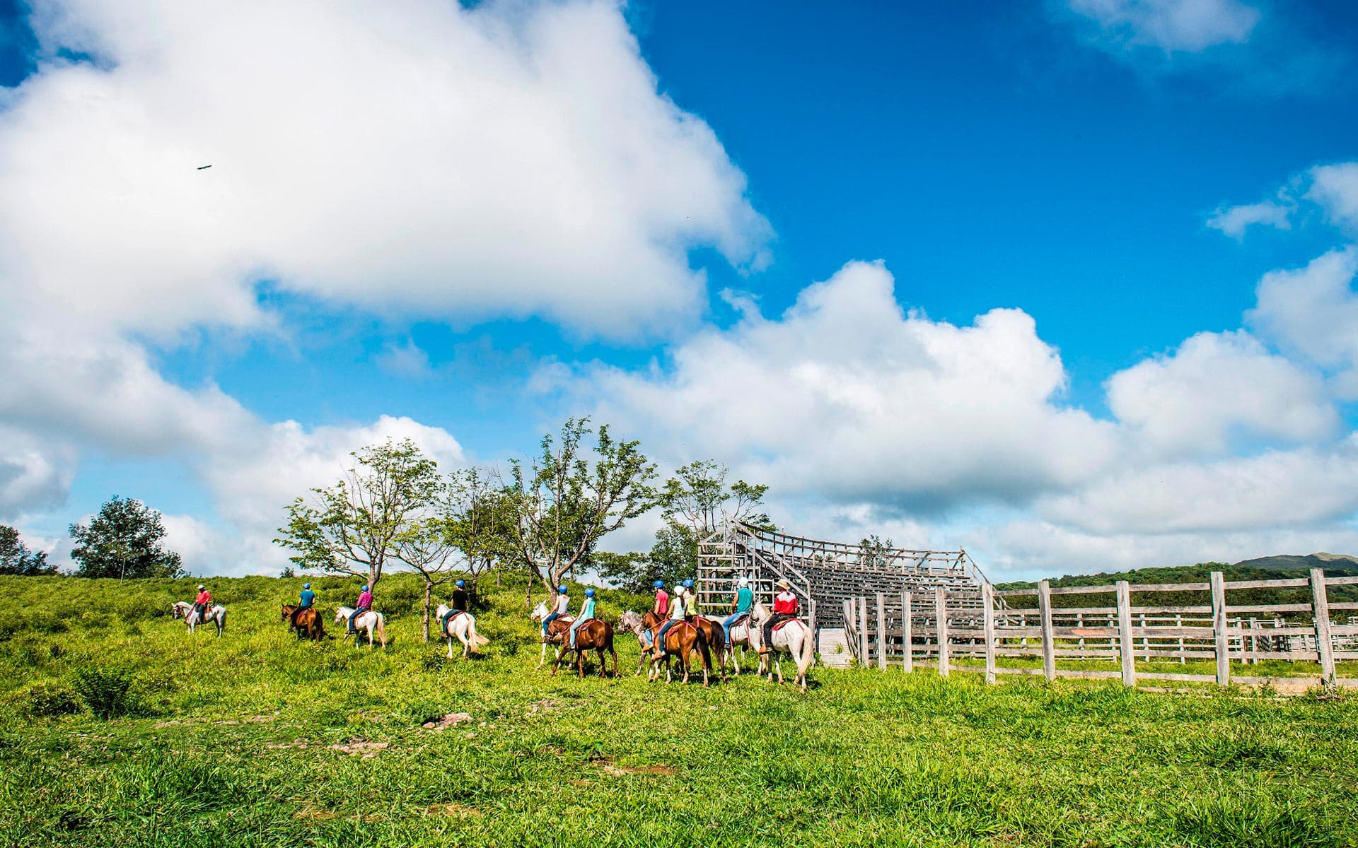 Horseback Riding to the Rincon de la Vieja National Park, Oropendula Waterfall & Rio Negro Hot Springs