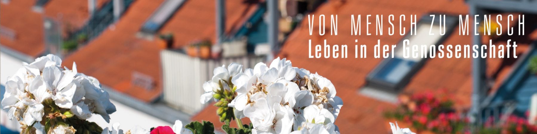 Von Mensch zu Mensch