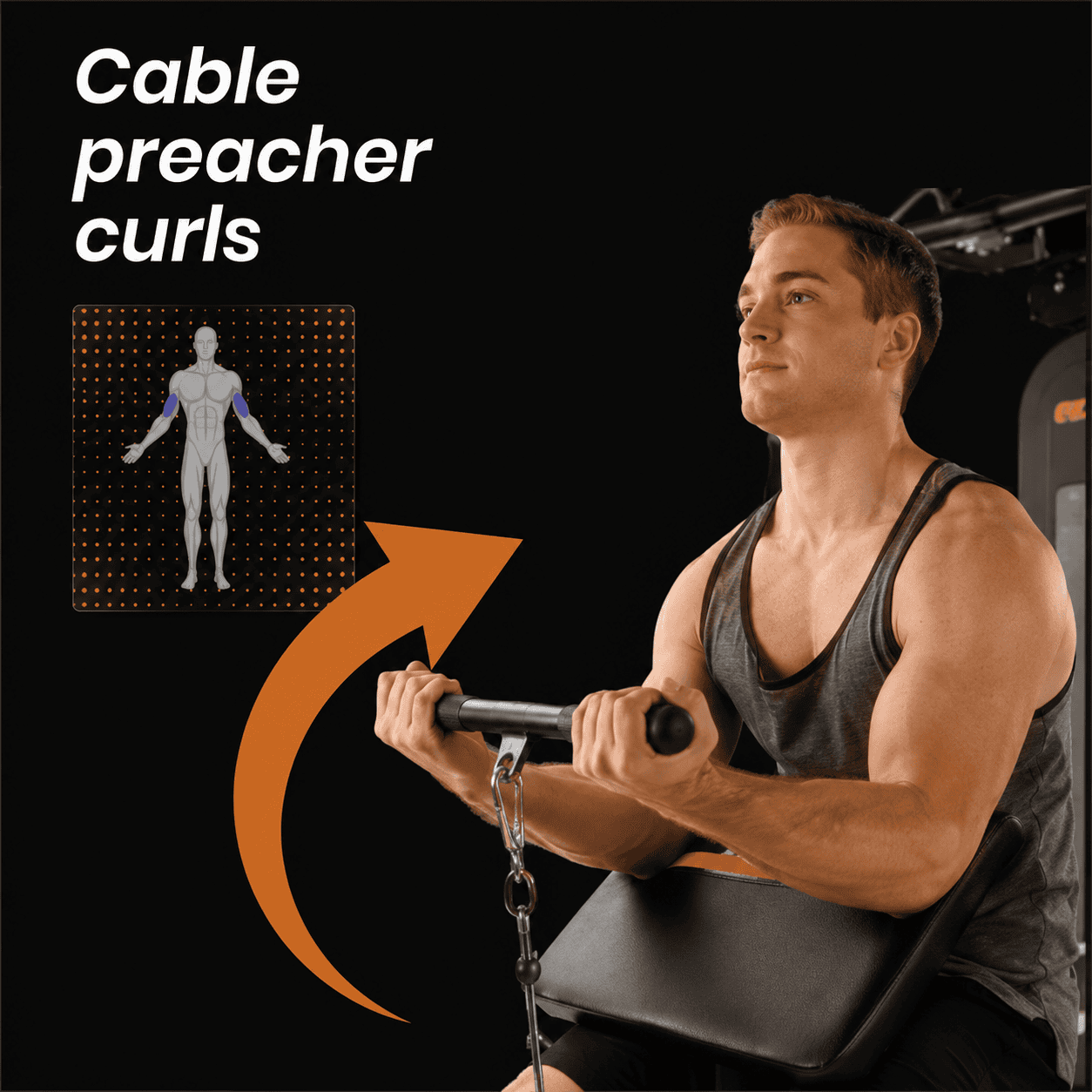 Cable preacher curls