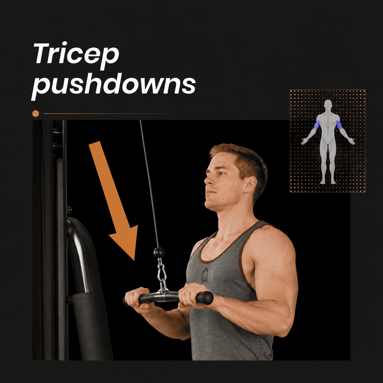 Tricep pushdowns