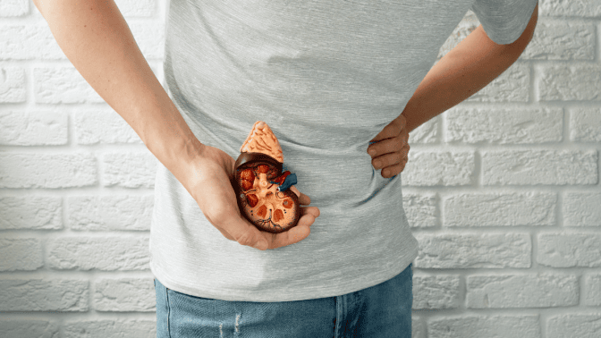 Chronic Kidney Disease vs Cardiovascular