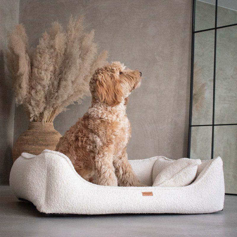 Pies na legowisku premium HausPets