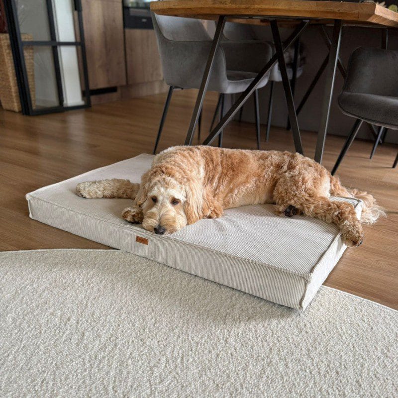 Legowiska ortopedyczne