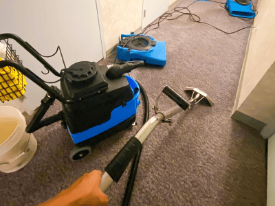 Trusted Hawaii Water Damage Restoration #2 Trusted Hawaii Water Damage Restoration #2