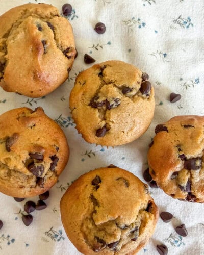 Einkorn Flour Sour Cream Chocolate Chip Muffins