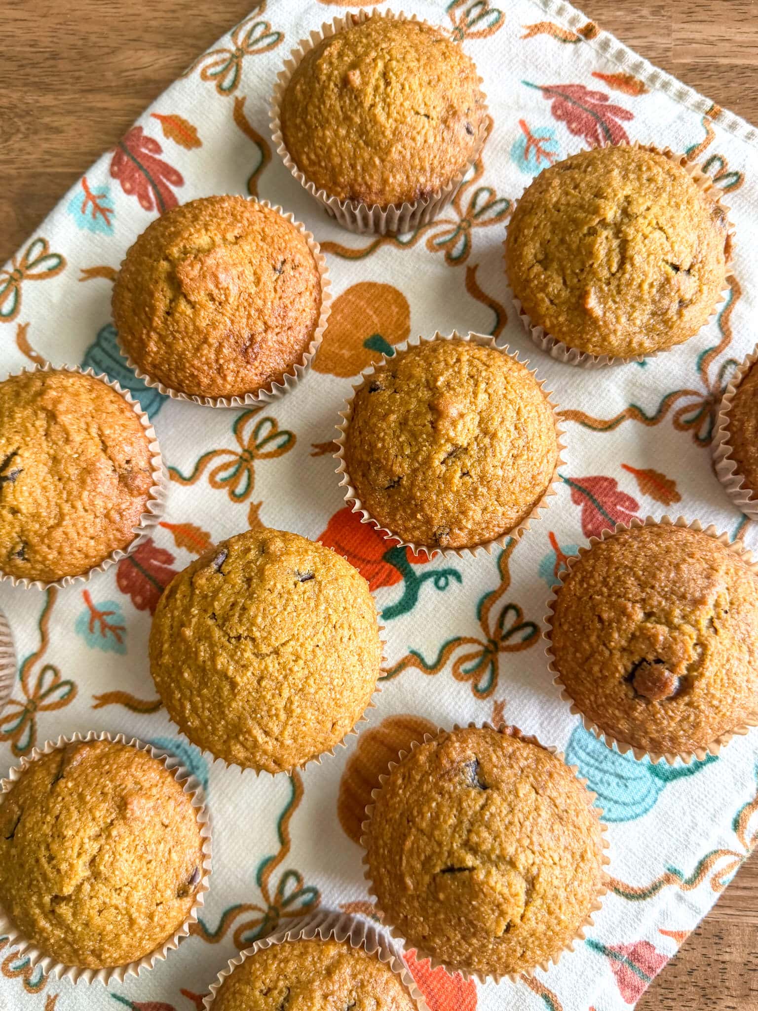 Pumpkin Chocolate Chip Muffins with Fresh Milled Flour