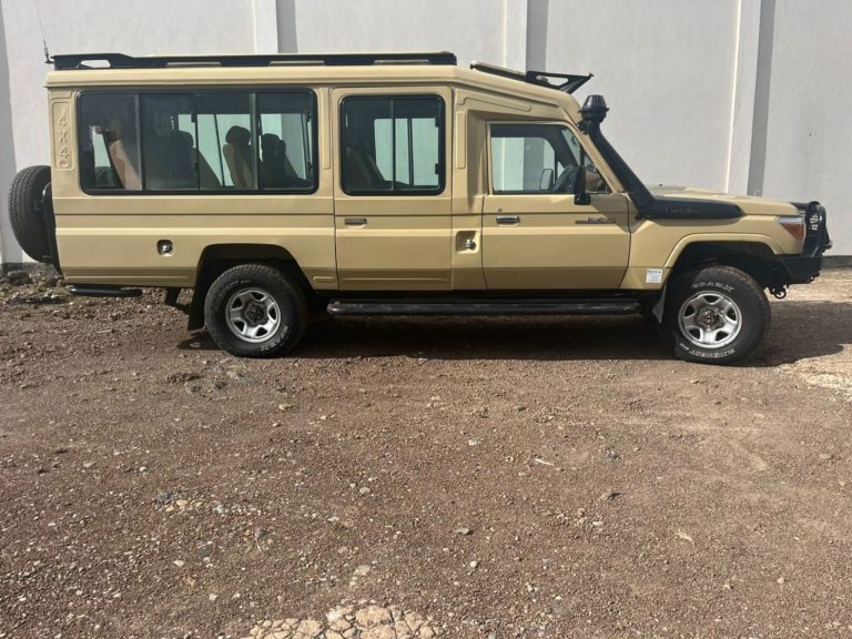 Extended Safari Land Cruiser