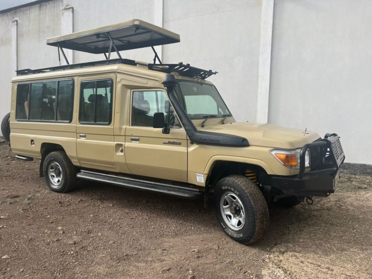 Extended Safari Land Cruiser
