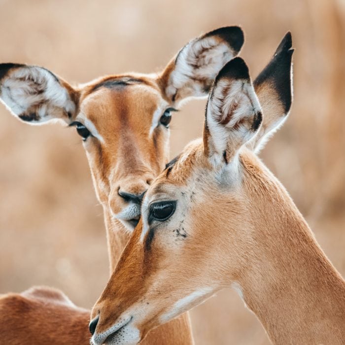 team-mfina-1HMMOp2dT6E-unsplash