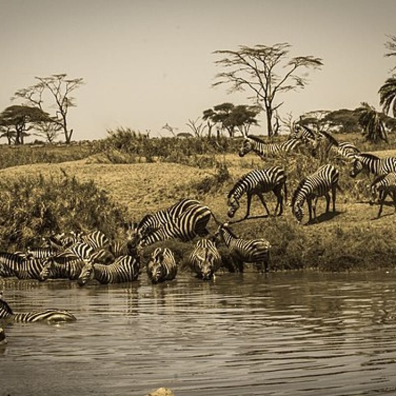Serengeti National Park
