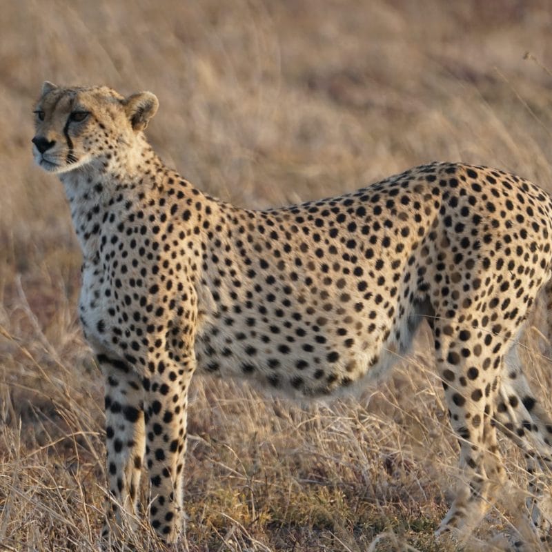 Serengeti National Park