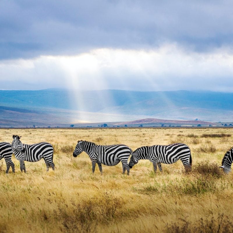 ngorongoro crater